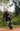 KingSong Electric Unicycles & E-Scooters | Official Store